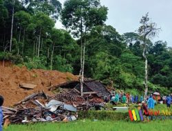 3 Orang Meninggal Dunia Akibat Tanah Longsor di Lampung