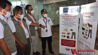 BNPB Tinjau Alur Kepulangan Delegasi KTT G20
