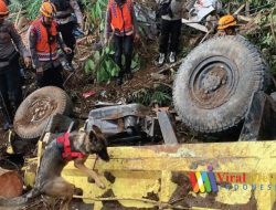 Seekor Anjing Pelacak Menemukan Tempat di Mana Korban Dikabarkan Tertimbun Longsor Di Cianjur