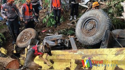 Seekor Anjing Pelacak Menemukan Tempat di Mana Korban Dikabarkan Tertimbun Longsor Di Cianjur