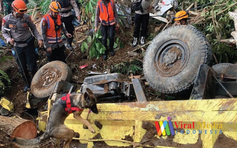 Seekor Anjing Pelacak Menemukan Korban gempa Cianjur