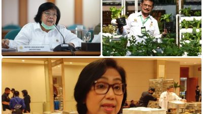 NasDem Bela Siti Nurbaya dan Syahrul Yasin Limpo