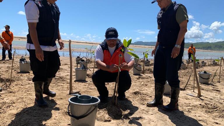 Mitigasi Bahaya Tsunami Kawasan Pacitan Dengan Vegetasi