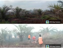 Viral: Tim Gabungan Berhasil Memadamkan Kebakaran Lahan di Kotawaringin Barat