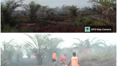 Kebakaran Lahan di Kotawaringin Barat