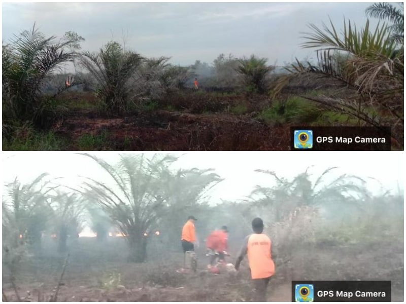 Kebakaran Lahan di Kotawaringin Barat