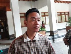 Viral – Gibran Cari Penghina Jokowi, Bakal Carikan Pekerjaan: Kasihan, Ndak Baik Nutup Rezeki Orang