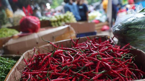 Harga cabai rawit turun