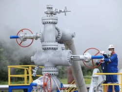 Viral: Geothermal