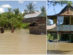 Viral: Sungai Masamba Meluap dan Merendam Tiga Desa di Luwu Utara