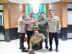 Viral: Perkuat Sinergisitas, Kapolres Pelabuhan Tanjung Priok Silaturahmi ke Markas Kodim 0502 Jakarta Utara