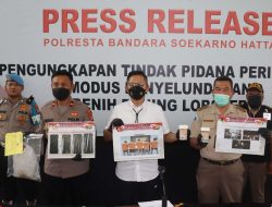 Viral: Polresta Bandara Soetta Gagalkan Penyelundupan Ribuan Bibit Lobster ke Luar Negeri