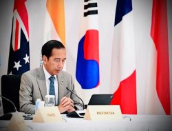 Cawe-Cawe Kepanikan Jokowi