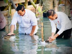 Dukung Prabowo, Jokowi Pressure Megawati?