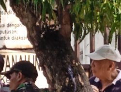 Viral: Moe Irwan Rahardja Terancam Pidana Penjara Kasus Pengrusakan