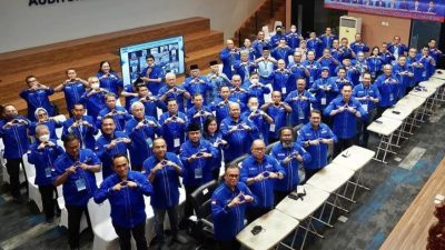 Partai Demokrat Perjuangan