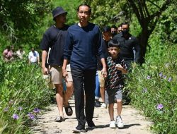 Rakyat Rindu Jokowi Mundur