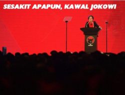 Sesakit Apapun, Tetap Kawal Jokowi Perintah Kontemplasi Megawati   Penulis Ch Robin Simanullang    