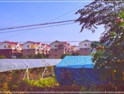Viral: Telaga Wan An