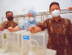 Viral: Bani Wolbachia
