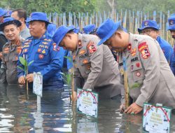HUT Ke-73 Polairud Tanam Mangrove dan Bersih-Bersih Pantai Tanjung Pasir, Tangerang