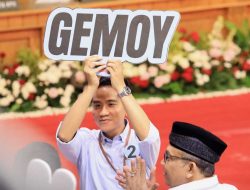 Asam Sulfat, Gemoy Dan Gaspol Kebodohan