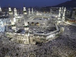 Viral: Salat Diskon