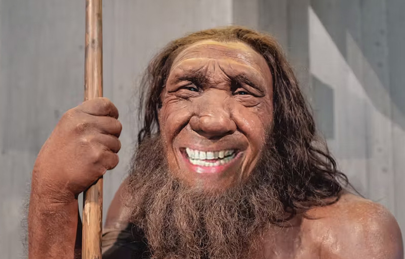 Keturunan Seks