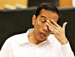 “Sempat Menghilang, Nama Jokowi Kembali Tersemat di Situs OCCRP Setelah Kontroversi”