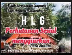 AT Dikambinghitamkan, Pelaku Utama Parambah HLG Desa Pematang Rahim Belum Diungkap Pihak Kepolisian