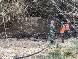 Sigap, Babinsa Gerih Bersama BPBD dan Warga Bersama Padamkan Kebakaran Lahan Jati di Gerih