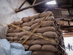 Polda Metro Jaya Ungkap Impor Ilegal 49,85 Ton Kacang Tanah
