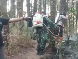 Petugas Gabungan dan Babinsa Kendal Sisir Kawasan Hutan, Cegah Api Meluas ke Hutan Produksi