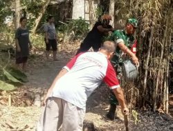 Sigap, Babinsa Karangjati dan Petugas Gabungan Atasi Kebakaran Rumpun Bambu Dekat Permukiman Warga