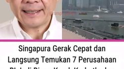 Singapura Soroti Karhutla di Indonesia, Tujuh Perusahaan Disurati: Penegakan Hukum dan Perlindungan Lingkungan Dipertanyakan