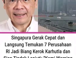 Singapura Soroti Karhutla di Indonesia, Tujuh Perusahaan Disurati: Penegakan Hukum dan Perlindungan Lingkungan Dipertanyakan
