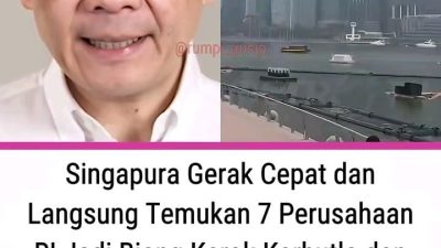 Singapura Soroti Karhutla di Indonesia, Tujuh Perusahaan Disurati: Penegakan Hukum dan Perlindungan Lingkungan Dipertanyakan