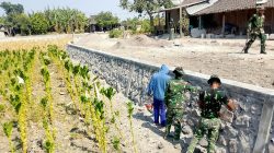Satgas TMMD ke-130 Kodim Ngawi Finishing Talud Badan Jalan, Utamakan Kualitas dan Ketahanan Bangunan